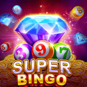 Super Bingo Paldo Plus game